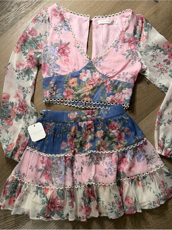 Altar'd State Dresses & Skirts - Altar'd State Pink Floral Sheer Lace-Trim Top and Matching Skirt Set. XS